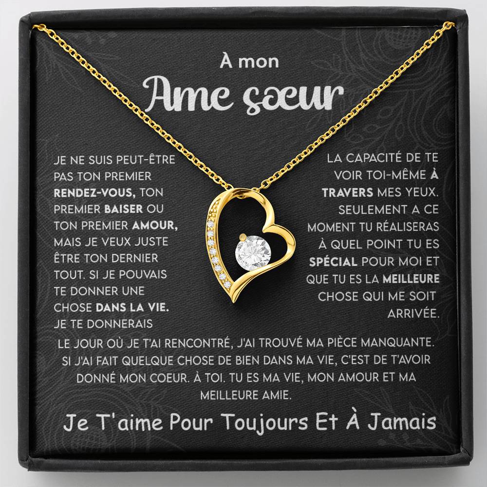 À Mon Âme Sœur - Ma Vie, Mon Amour Et Mon Meilleur Ami